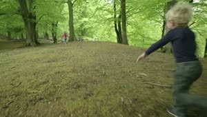   Stock Footage Two Kids Running From Wild Deer Live Wallpaper