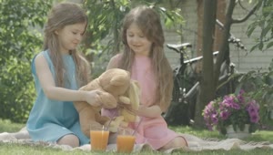   Stock Footage Twin Girls Play With Teddy Bear On Blanket Outside Live Wallpaper