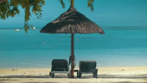   Stock Footage Tropical Vacation At The Beach Live Wallpaper