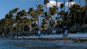   Stock Footage Tropical Tourist Beach Tilt Shot Live Wallpaper