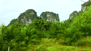   Stock Footage Tropical Thailand Green Landscape Live Wallpaper