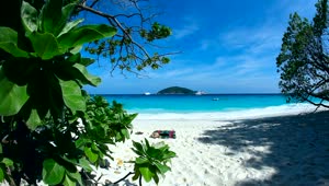   Stock Footage Tropical Paradise Beach Live Wallpaper