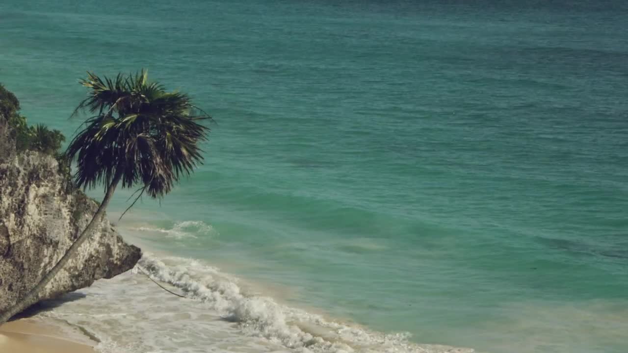 Download   Stock Footage Tropical Beach With Calm Waves Live Wallpaper