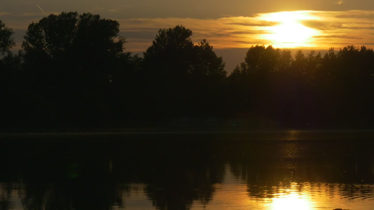 Download   Stock Footage Trees Silhouettes And The Yellow Sunset Live Wallpaper