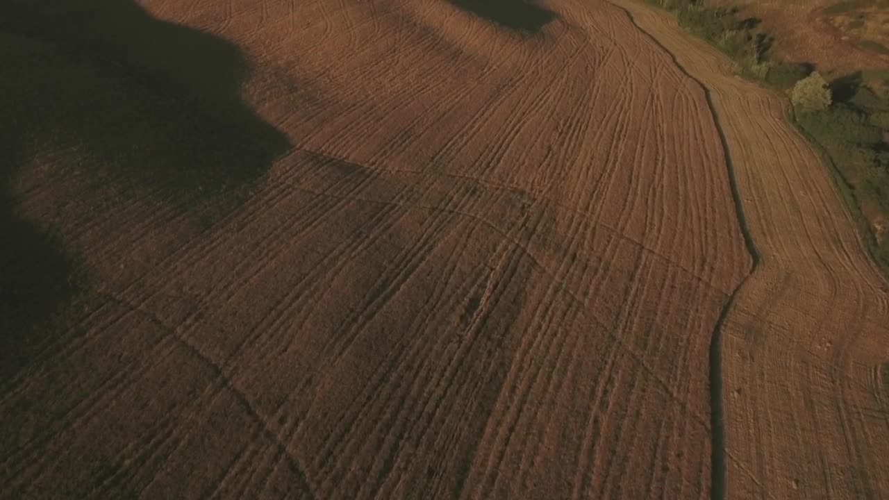   Stock Footage Tree Line Between Fields Live Wallpaper