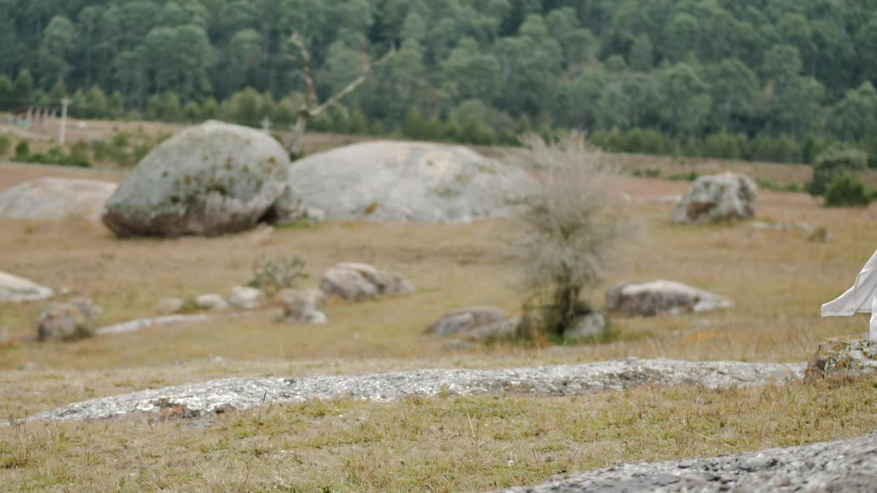 Download   Stock Footage Traveling Woman Enjoying Nature Live Wallpaper