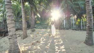 Stock Footage Woman Walking Among Palm Trees Live Wallpaper Free