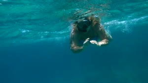 Stock Footage Woman Swimming With A Snorkel Live Wallpaper Free