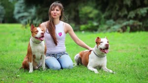 Stock Footage Woman Strokes Her Dogs On The Grass Live Wallpaper Free