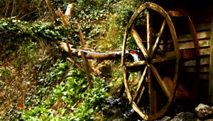 Stock Footage Wooden Water Mill In The Forest Live Wallpaper Free