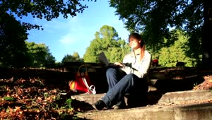 Stock Footage Working From The Park With Her Laptop Live Wallpaper Free