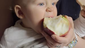 Stock Footage Young Baby Eating An Apple Live Wallpaper Free