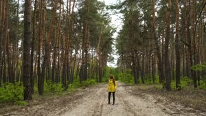 Stock Footage Young Woman Walking In The Forest Dirt Path Live Wallpaper Free