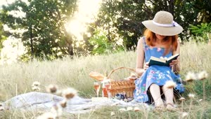 Stock Footage Woman Reading A Book On A Picnic Day Live Wallpaper Free