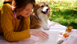 Stock Footage Woman With Corgi Dog Reading In The Park Live Wallpaper Free