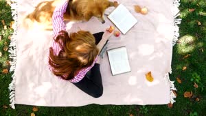 Stock Footage Woman With Corgi Dog In The Park Live Wallpaper Free
