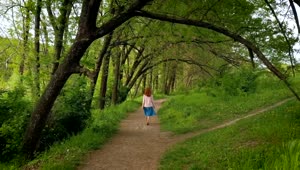 Stock Footage Young Woman Walking On Forest Path Live Wallpaper Free