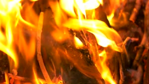 Stock Footage Wooden Logs Burning On A Fire Live Wallpaper Free