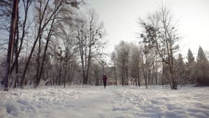 Stock Footage Woman Walking Through Snow In Winter Live Wallpaper Free