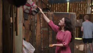 Stock Footage Young Woman Petting A Horse At The Stable Live Wallpaper Free