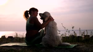Stock Footage Woman Relaxing With Her Dog Live Wallpaper Free