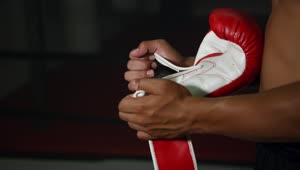 Stock Footage Woman Putting On Boxing Gloves Live Wallpaper Free