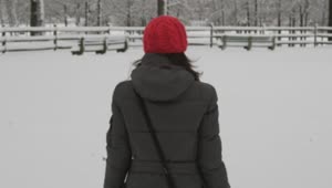 Stock Footage Woman Walking Slowly Through Snow Live Wallpaper Free