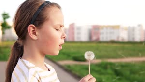Stock Footage Young Girl With A Wildflower Live Wallpaper Free