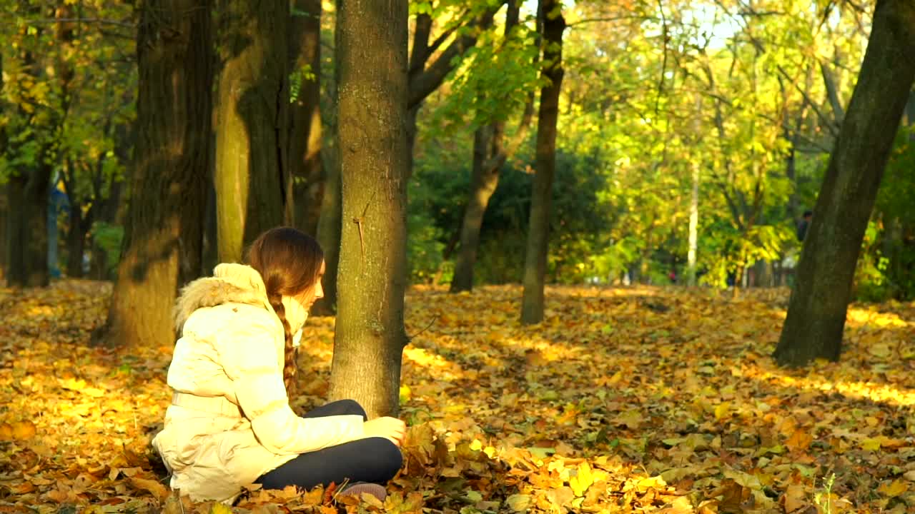 Download Stock Footage Young Woman Playing With Autumn Leaves Live Wallpaper Free