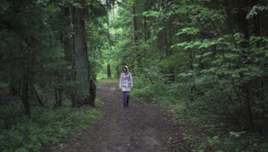 Stock Footage Woman In A Hoodie Walking In The Forest Live Wallpaper Free