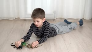 Stock Footage Young Boy Playing With A Toy Dinosaur Live Wallpaper Free