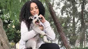 Stock Footage Young Woman In A Park Carrying Her Schnauzer Dog Live Wallpaper Free