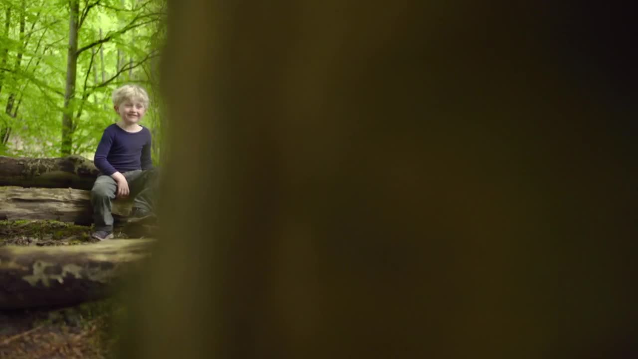 Download Stock Footage Young Man Playing With A Fallen Tree Live Wallpaper Free