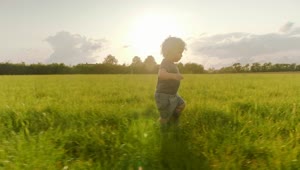 Stock Footage Young Boy Walking Through A Field Live Wallpaper Free