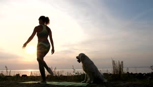 Stock Footage Young Lady Doing Yoga Outside With Her Dog Live Wallpaper Free