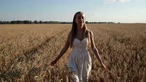 Stock Footage Woman Walking In A Wheat Field Live Wallpaper Free