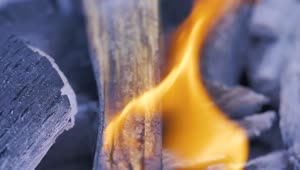 Stock Footage Wood Being Burned By Fire Live Wallpaper Free