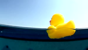 Stock Footage Yellow Rubber Duck In Water Live Wallpaper Free