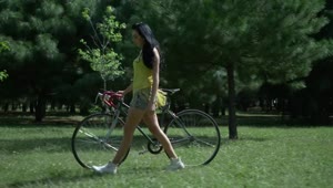 Stock Footage Woman Walking Her Bike Through Park Live Wallpaper Free