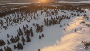Ree Video Drone Snow Mountains Video Live Wallpaper