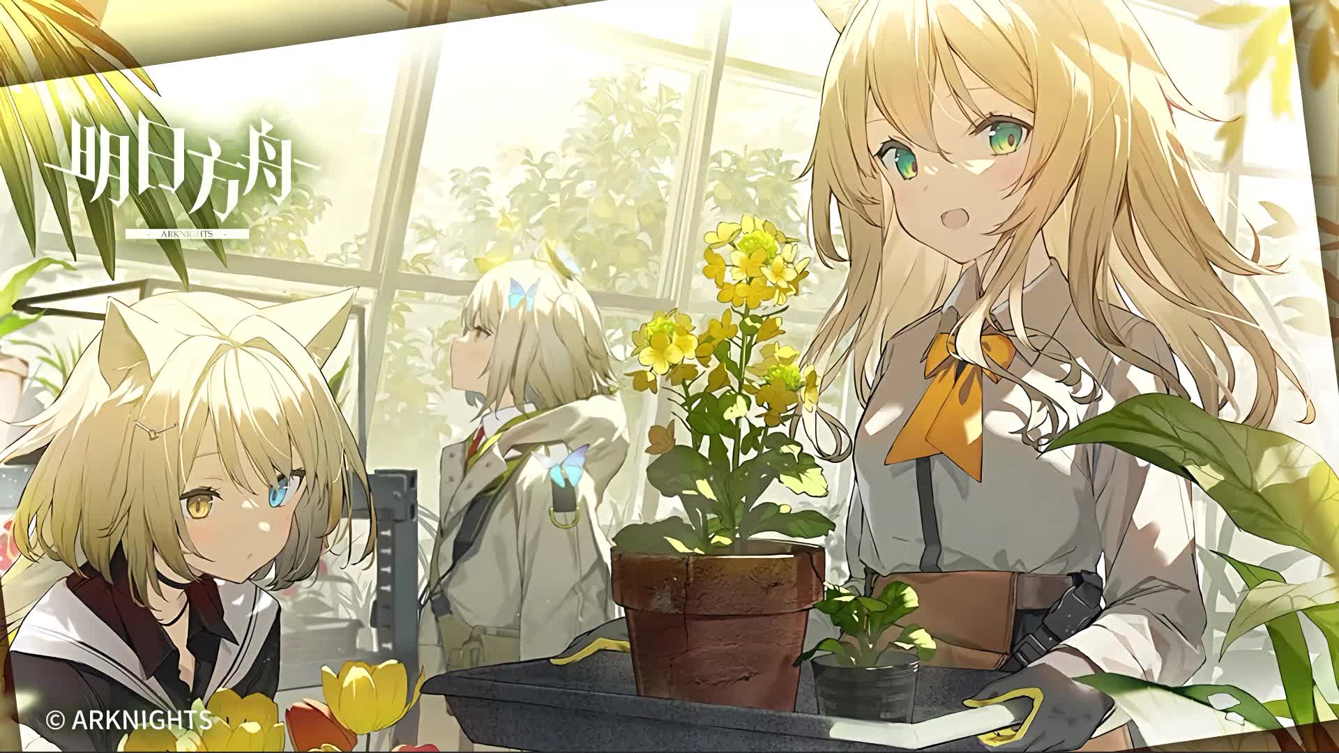 Download Arknights Blond Girls Anime Live Wallpaper
