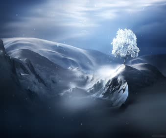 Desktop White Snow Tree On The Mountain Live Wallpaper