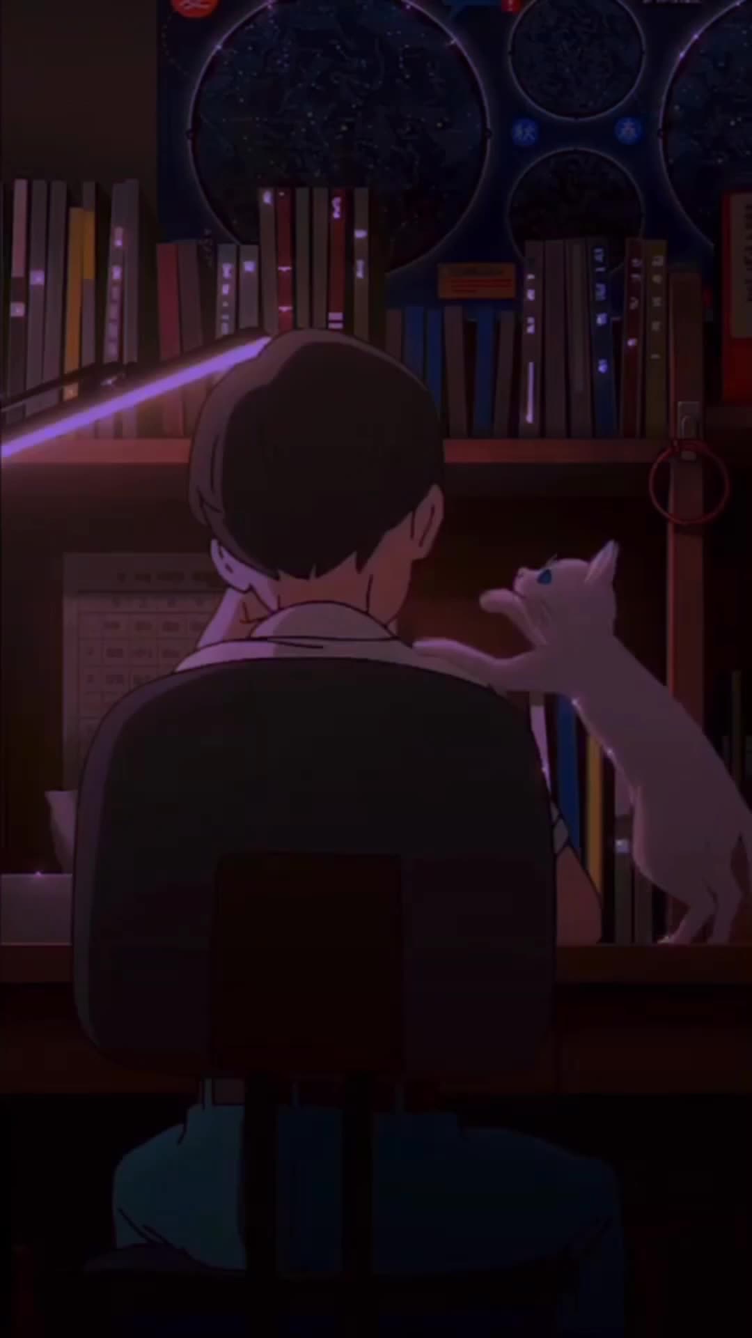 Download Android  iOS Chill With Cat Live Wallpaper 