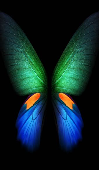 Butterfly Multicolor Samsung Galaxy Z Fold3 Phone Live Wallpaper