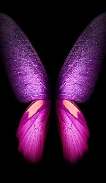 Butterfly Purple Samsung Galaxy Z Fold3 Phone Live Wallpaper