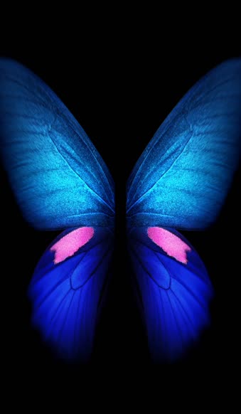 Butterfly Azul Samsung Galaxy Z Fold3 Phone Live Wallpaper
