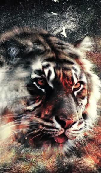 Tiger Cool Edit iphone 12 pro wallpaper