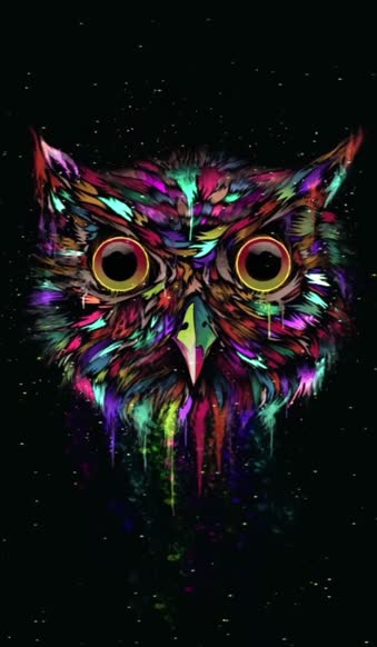 iPhone and Android Owl Paint Minimalist Live Phone Wallpaper