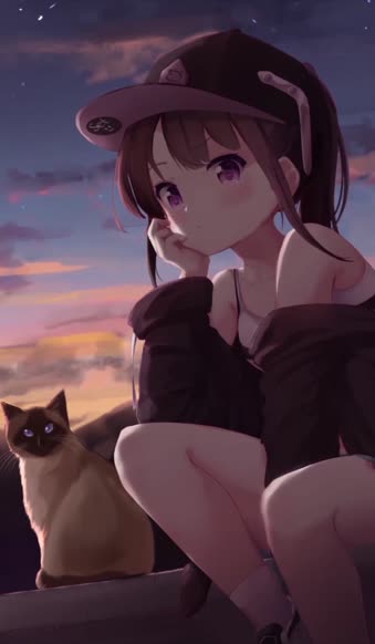  Live Phone Girl And Cat At Sunset Anime Wallpaper For iPhone And Android