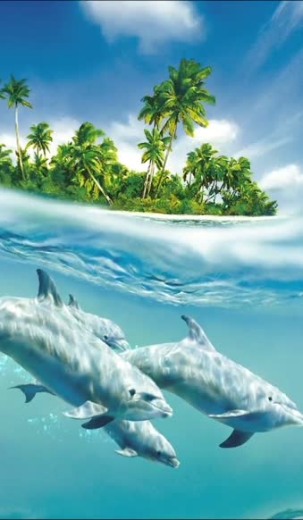 iPhone  Android Dolphins Under Island Fantasy Wallpaper
